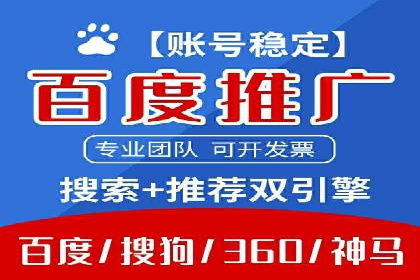 竞价排名在搜索引擎营销中的运用案例